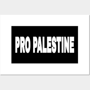 PRO PALESTINE - White - Front Posters and Art